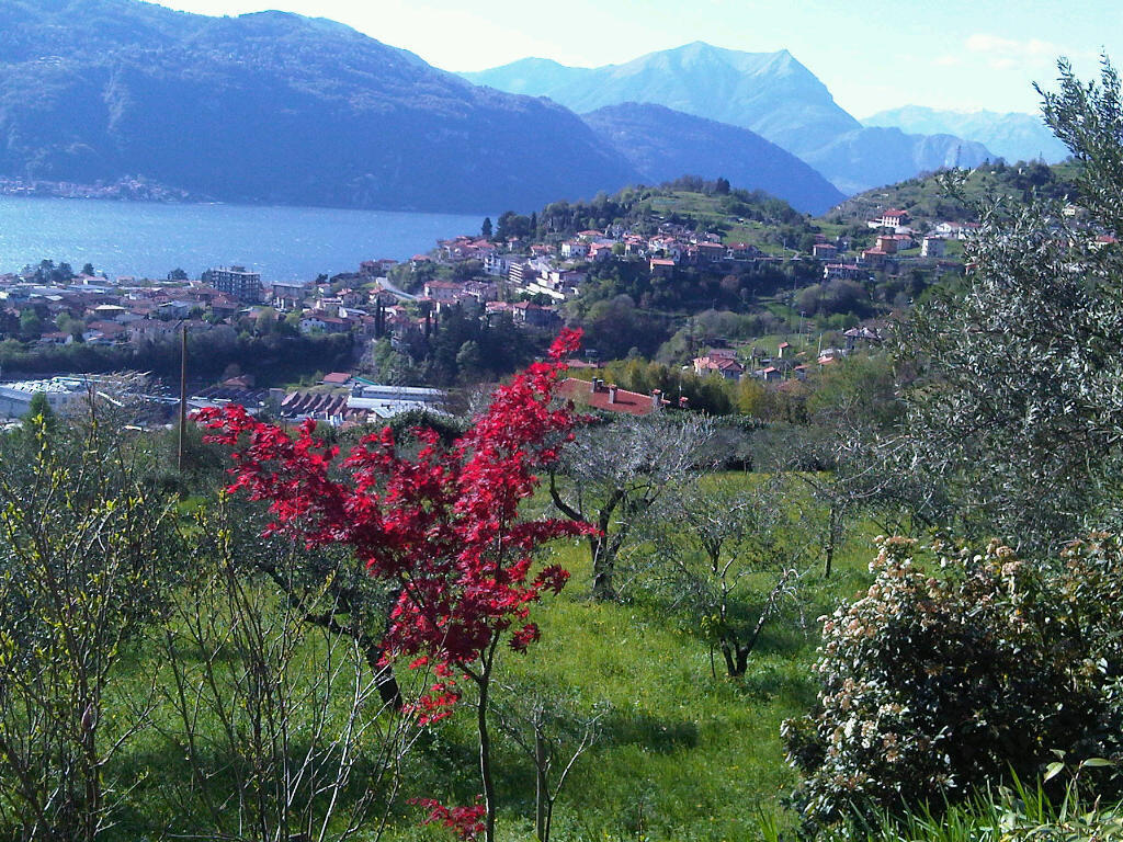 Agriturismo Crotto Di Somana Mandello del Lario Exterior photo
